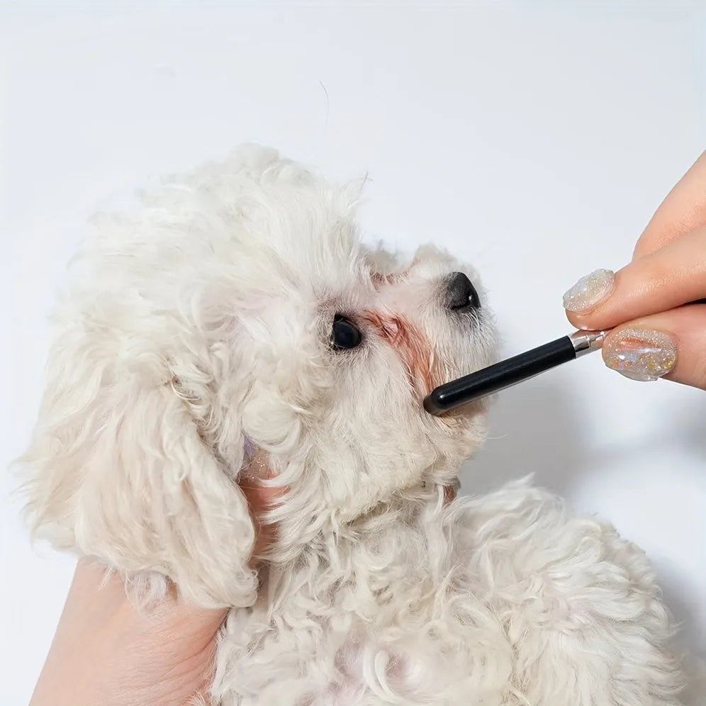 Black pet grooming brush with soft silicone bristles and comb attachment for dogs and cats