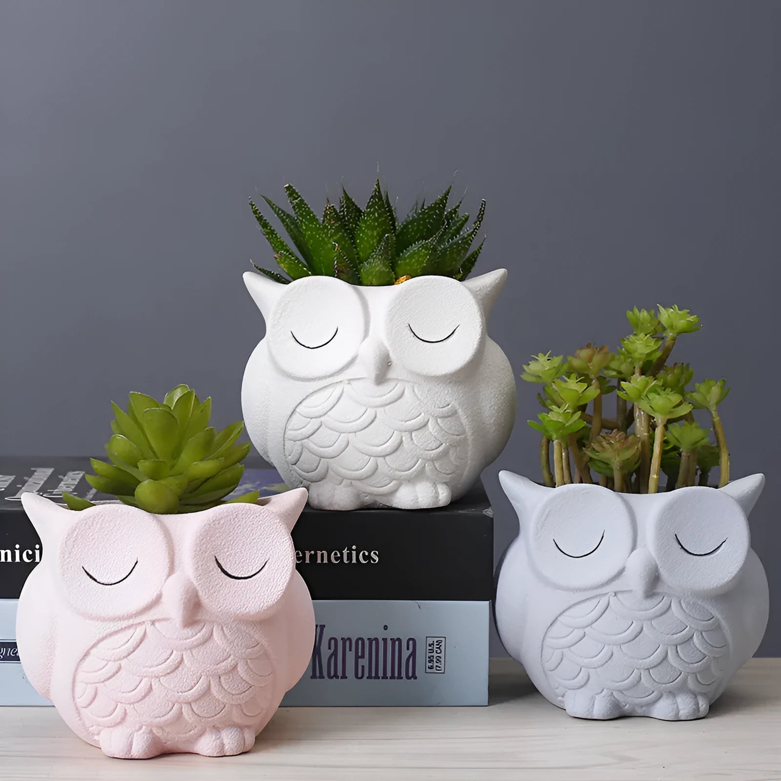 Handmade ceramic succulent pot with cartoon owl design in frosted pastel colour