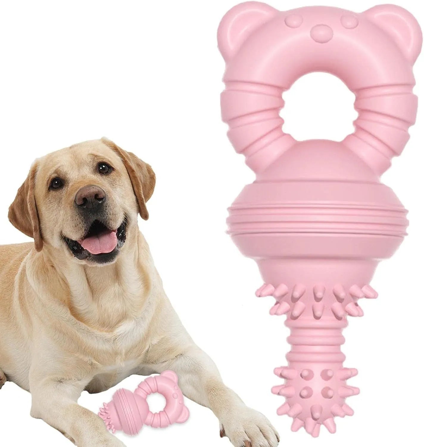 Blue rubber dog chew toy shaped like a molar with textured surface for teeth cleaning.