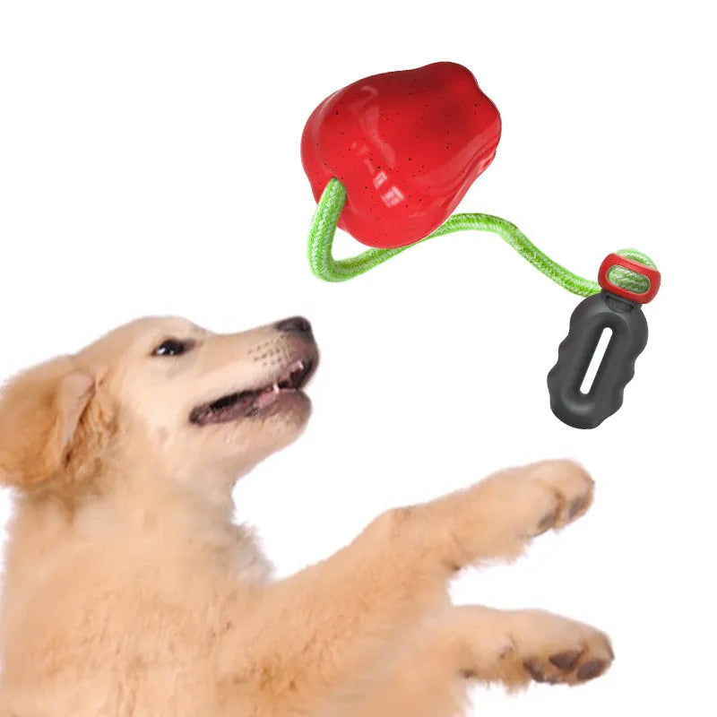 Green plastic apple-shaped dog chew toy with a squeaker on a grass background.