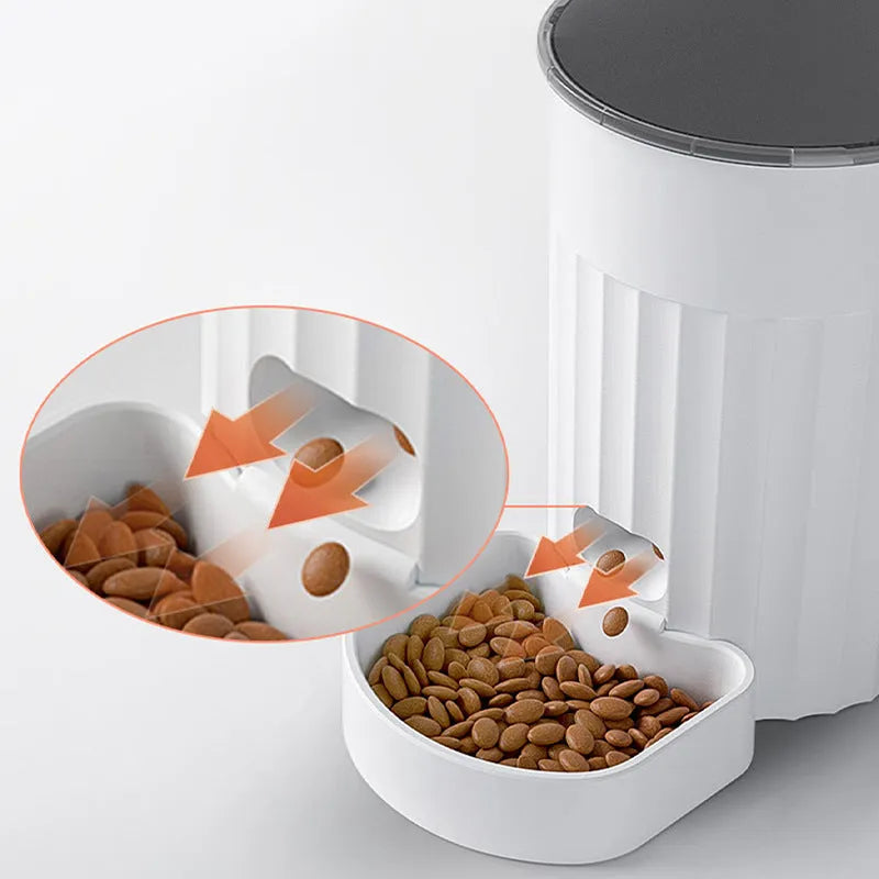 White PP plastic cat automatic pet feeder with programmable schedule and WiFi control on a countertop