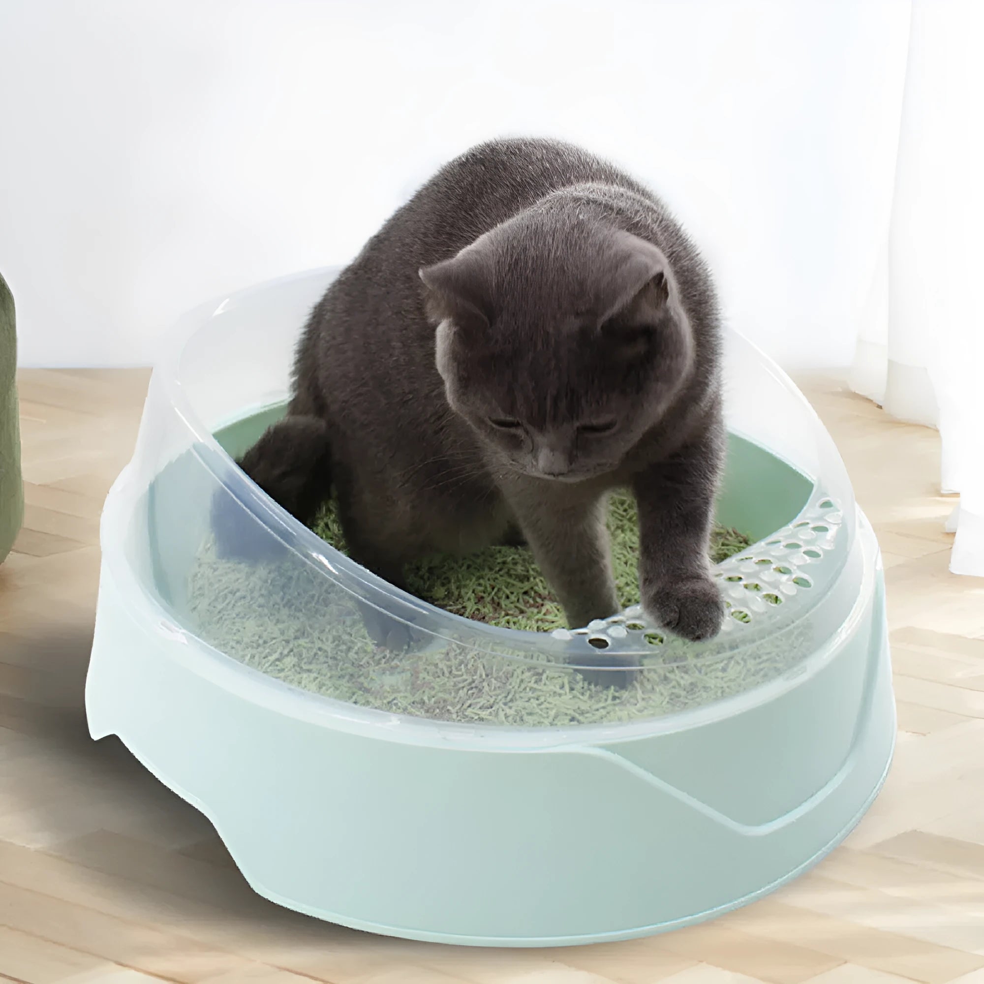 PP plastic cat litter box with rounded design and deodorising rim in mint green colour