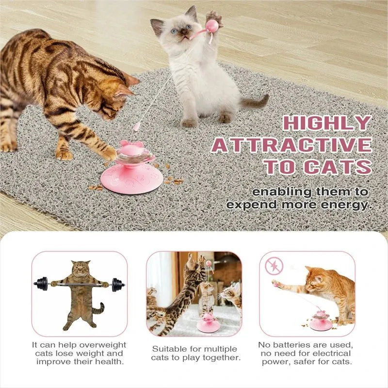 Cat teaser wand with suction cup spring toy in three colours: pink, purple, yellow, measuring 13x13x36 cm