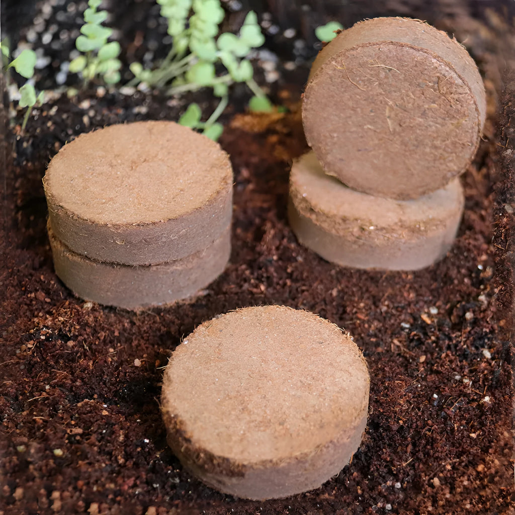 Assorted nutrient soil blocks for vegetable planting and seedling cultivation in different sizes.