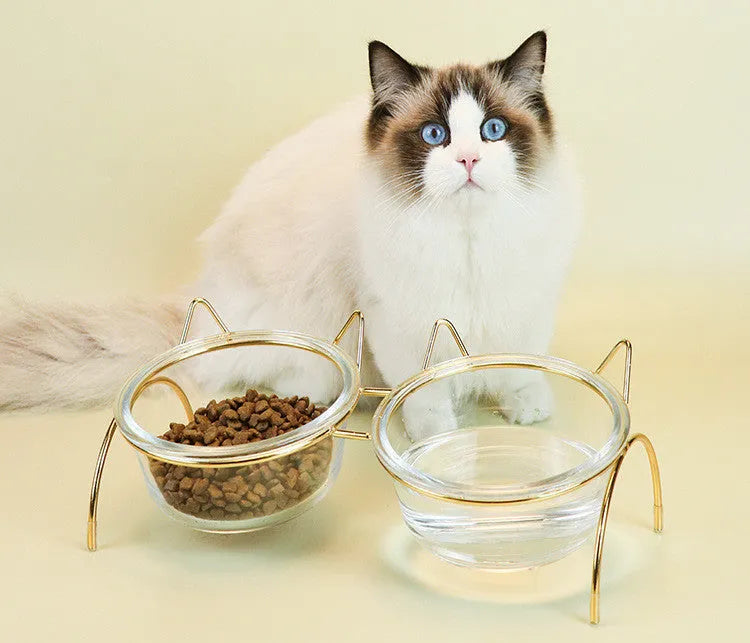 Raised glass cat bowl with golden metal rack and non-slip sleeves, 31x15x13.5cm, for pet food or water