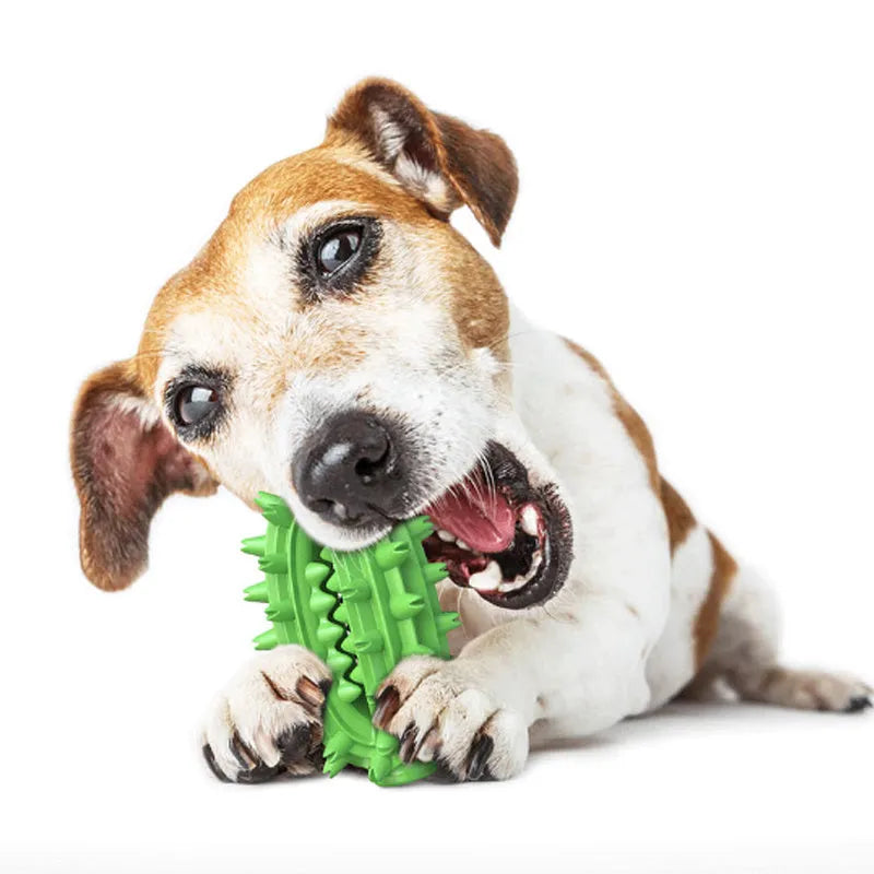 Green cactus-shaped dog toothbrush chew toy for medium large breed dental cleaning