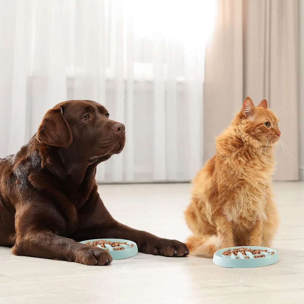 Green fishbone slow feeding plate for cats and small dogs, melamine material, 210mm size