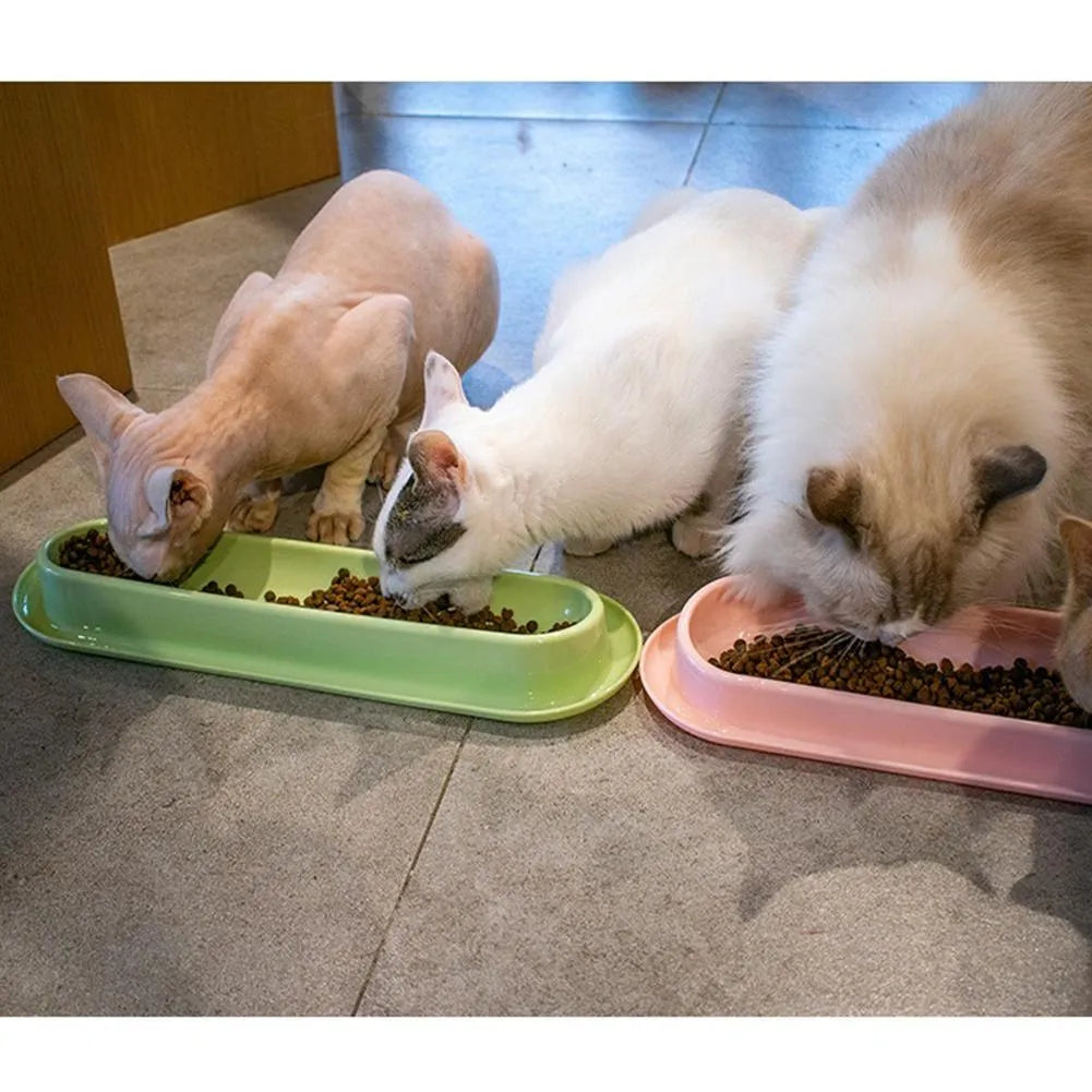 Leakproof pet bowl feeder for cats and dogs in green, pink or yellow colours