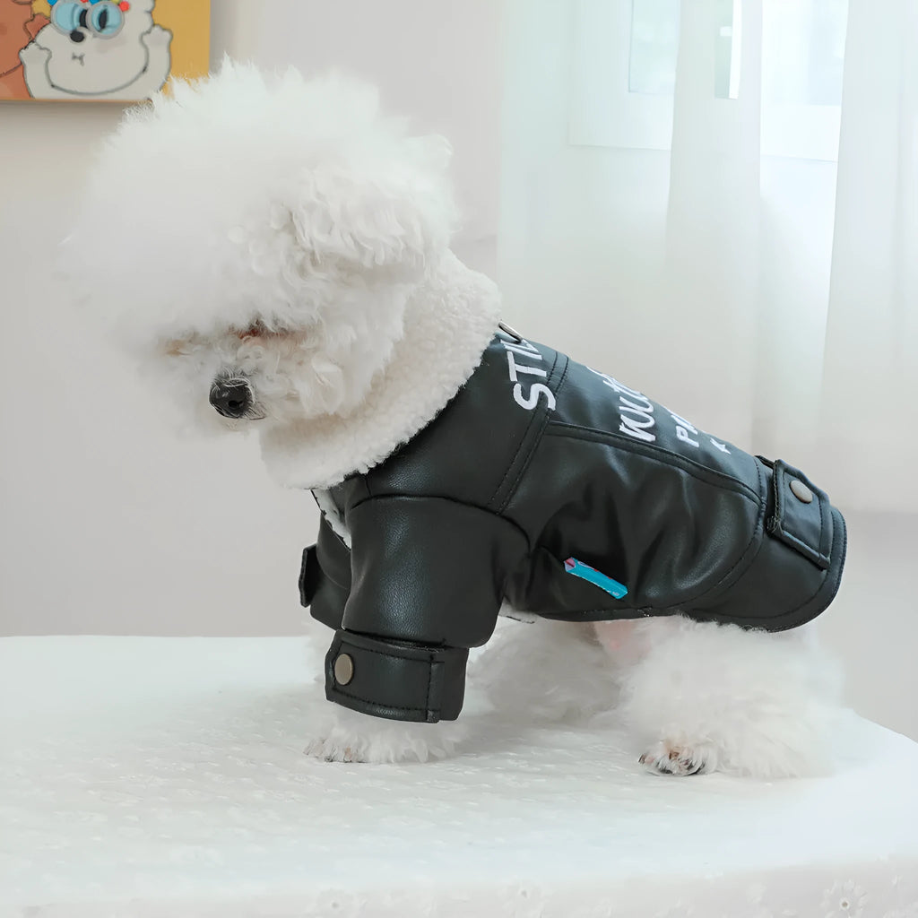 Fleece lined padded dog coat in three colours with size measurement chart