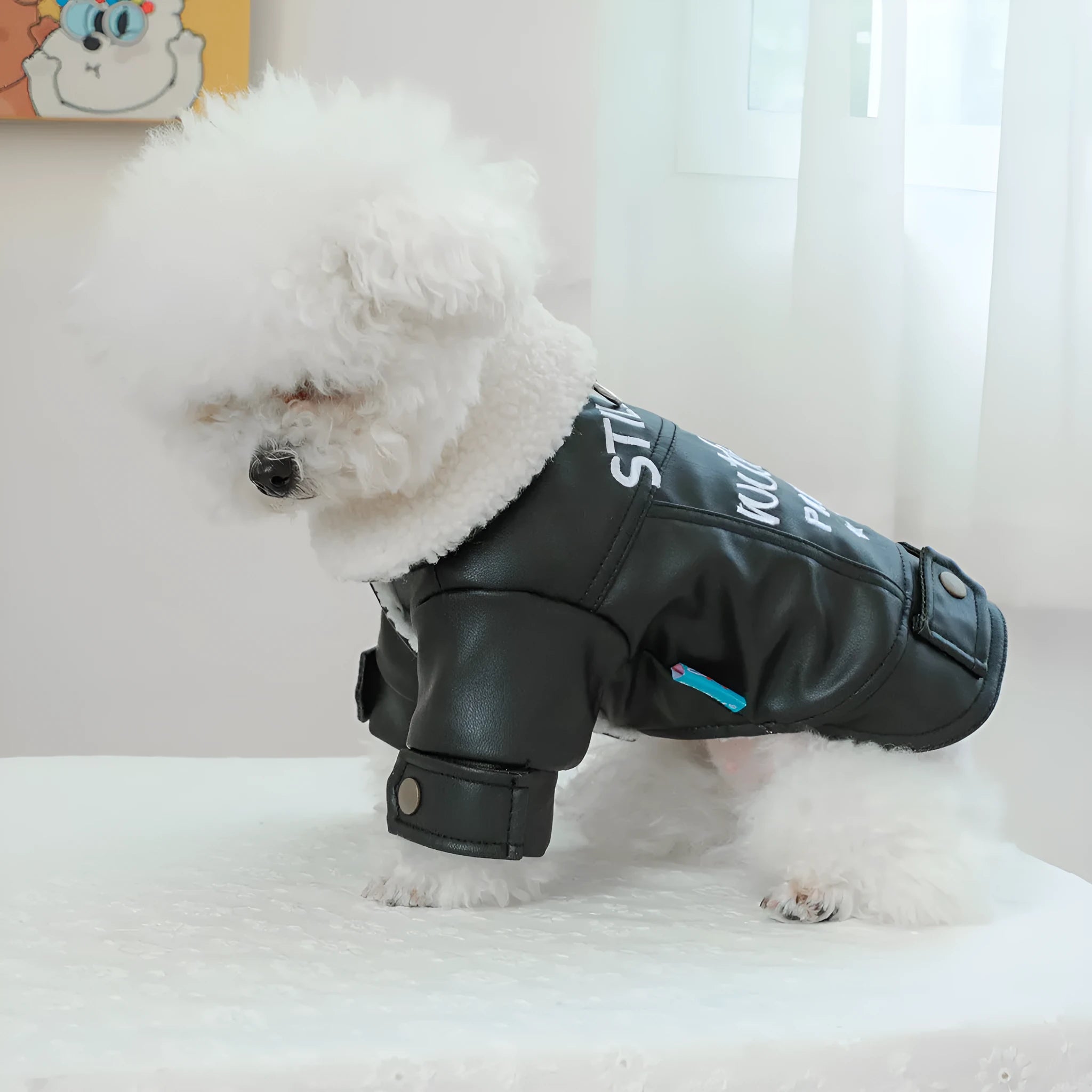 Fleece lined padded dog coat in three colours with size measurement chart