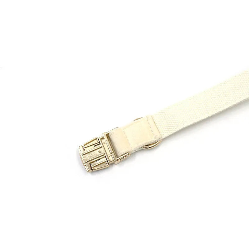 Cream velvet dog collar with gold buckle, matching bow tie, and leash set on a white background