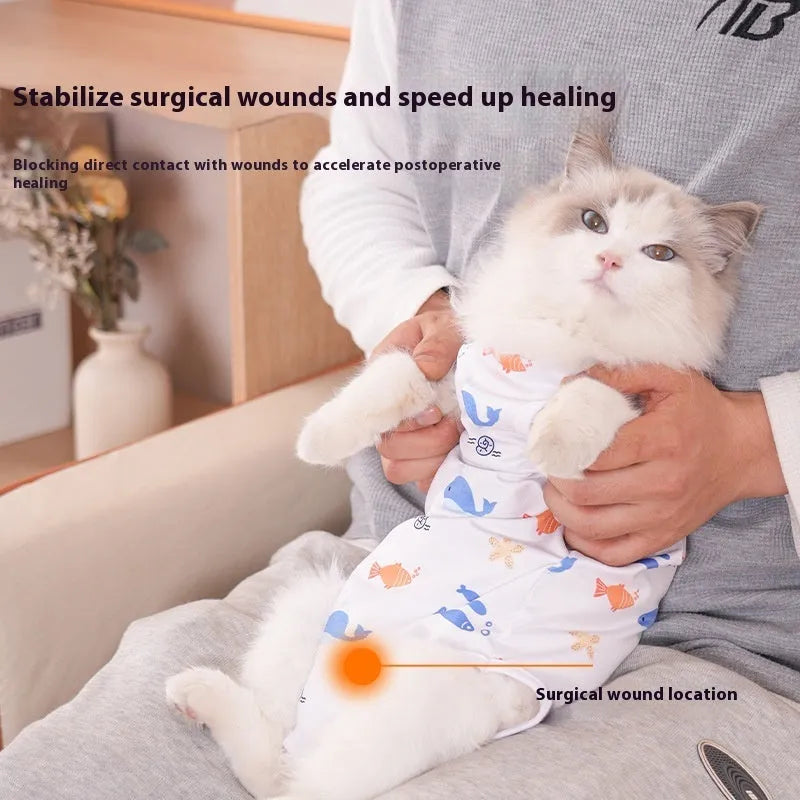 Cat wearing a printed post-operative sterilisation suit with Velcro fastenings.