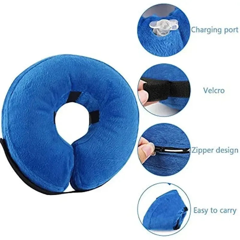 Blue inflatable recovery collar for a dog, showing soft cone alternative to plastic surgical collars.