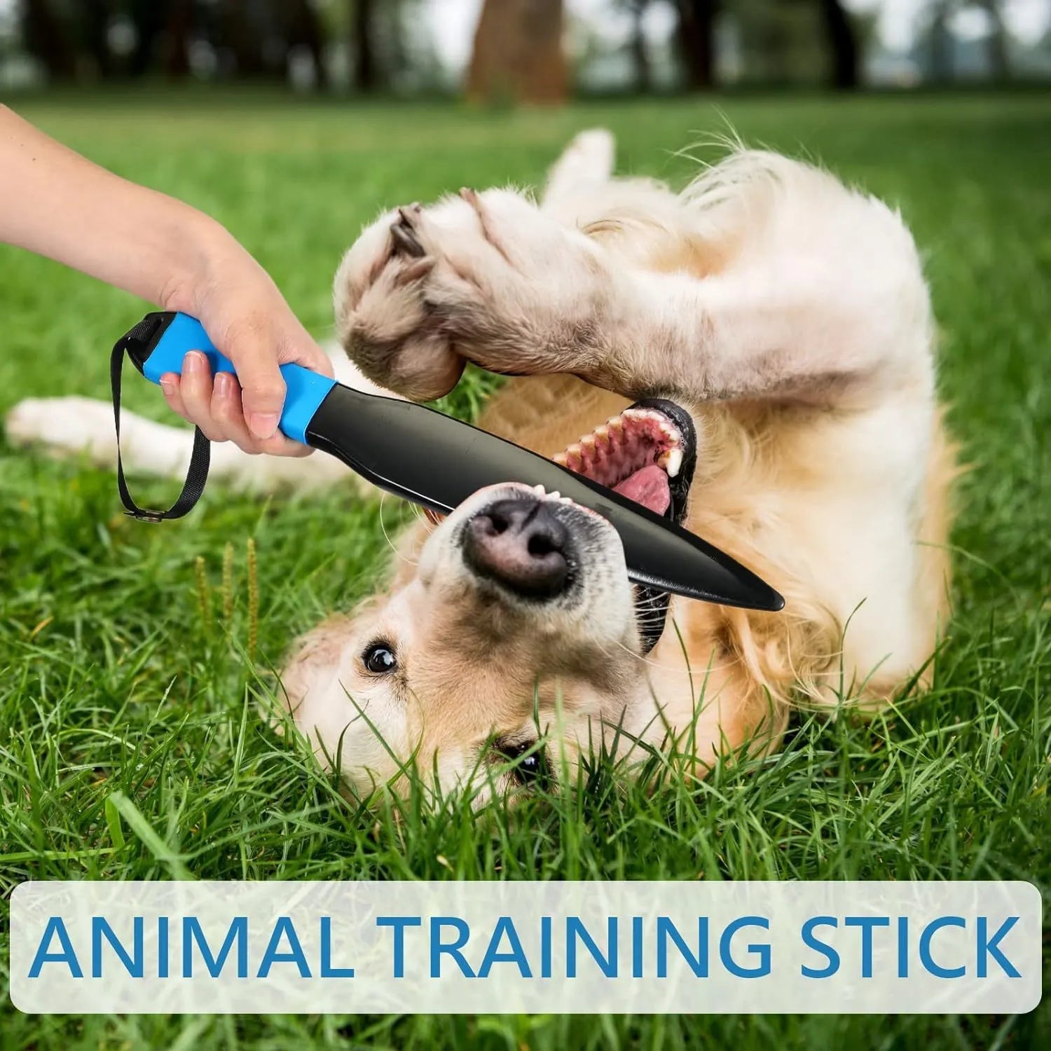Blue-handled nylon dog bite training stick measuring 35cm in length for small and medium breeds.