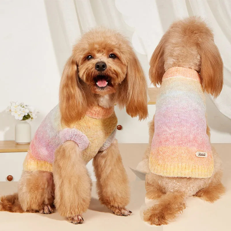 Dog wearing a colourful rainbow circle pattern sweater made from a soft wool acrylic blend.