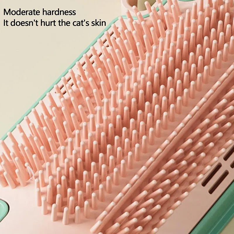PP plastic pet scratching groomer with mint-scented ball and feather attachment on textured base