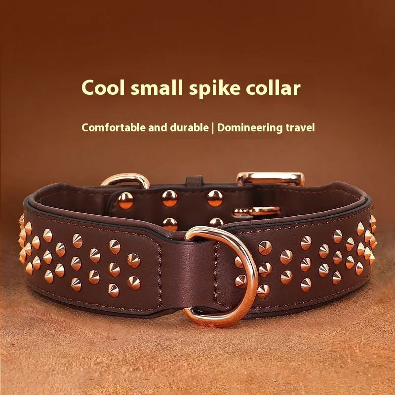 Close-up of a black leather dog collar with metal rivets and an adjustable buckle.