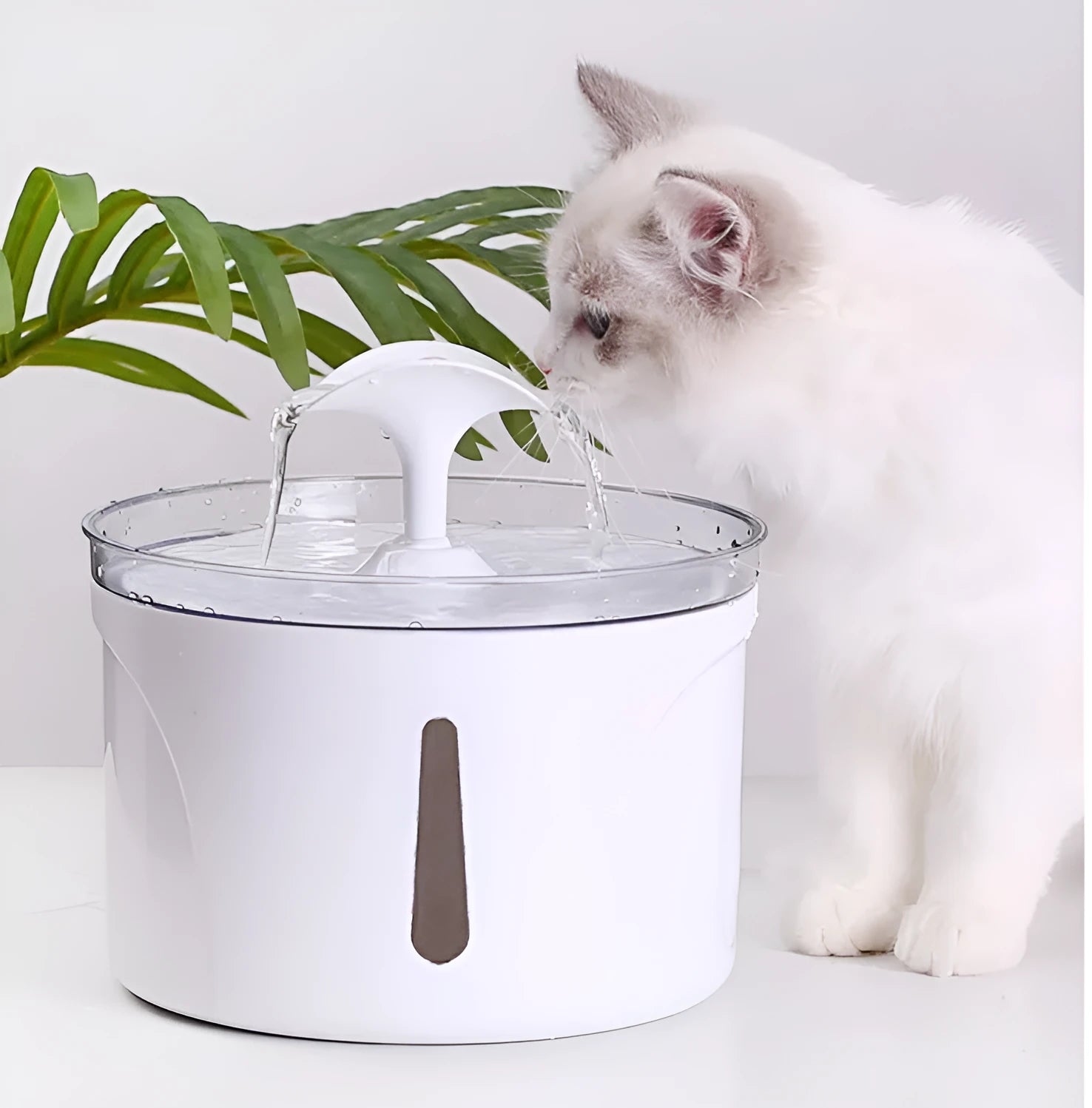 White automatic pet water dispenser with 2.5L capacity and circulation pump for cats and dogs