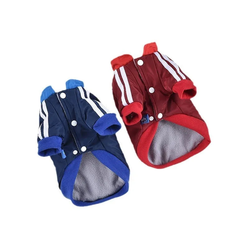 Red or blue dog coat with V-shaped splicing detail, shown on a pet.