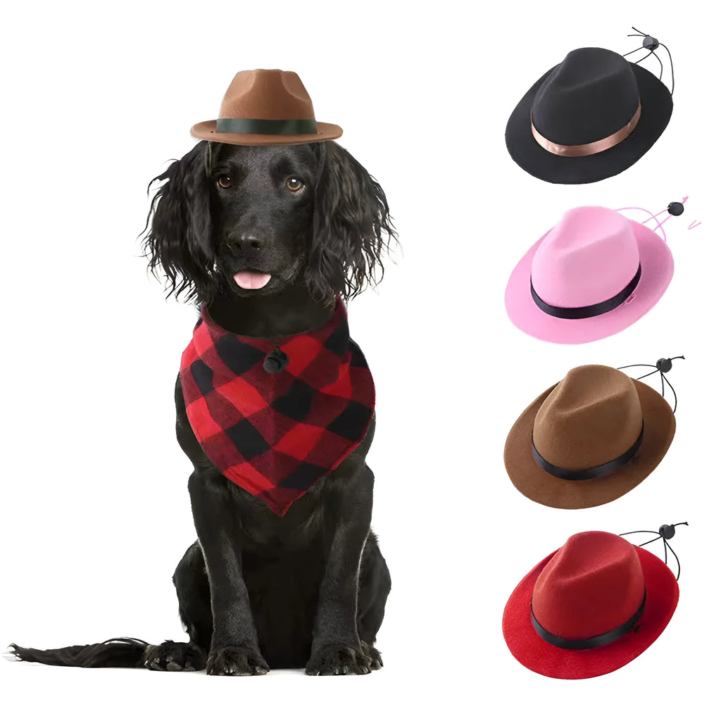 Wool felt pet hat S size 155cm diameter for small dogs cats in black brown pink red colours