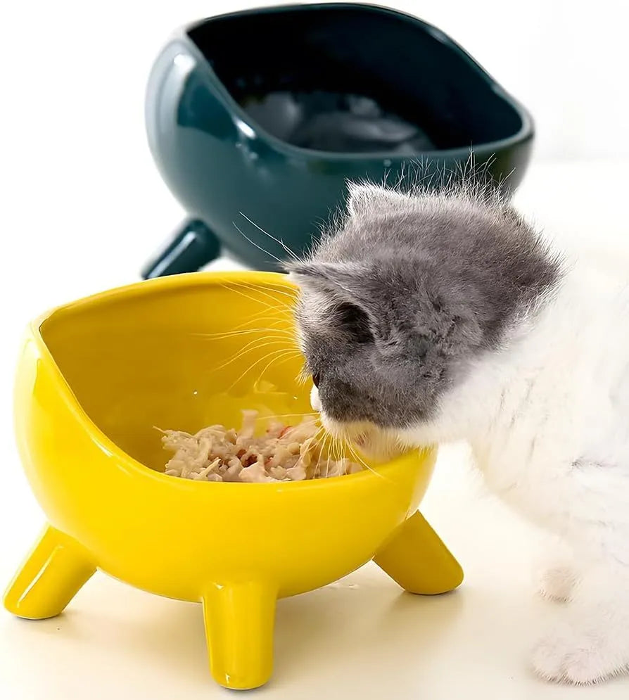 Green ceramic pet bowl with four legs and wide mouth design