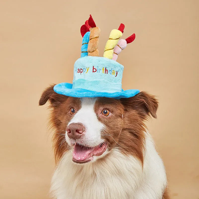 Blue and pink soft birthday hat for small dog on white background.
