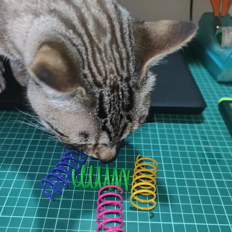 Plastic cat spring toys in mixed colours showing 5.5cm length and 2cm diameter measurements
