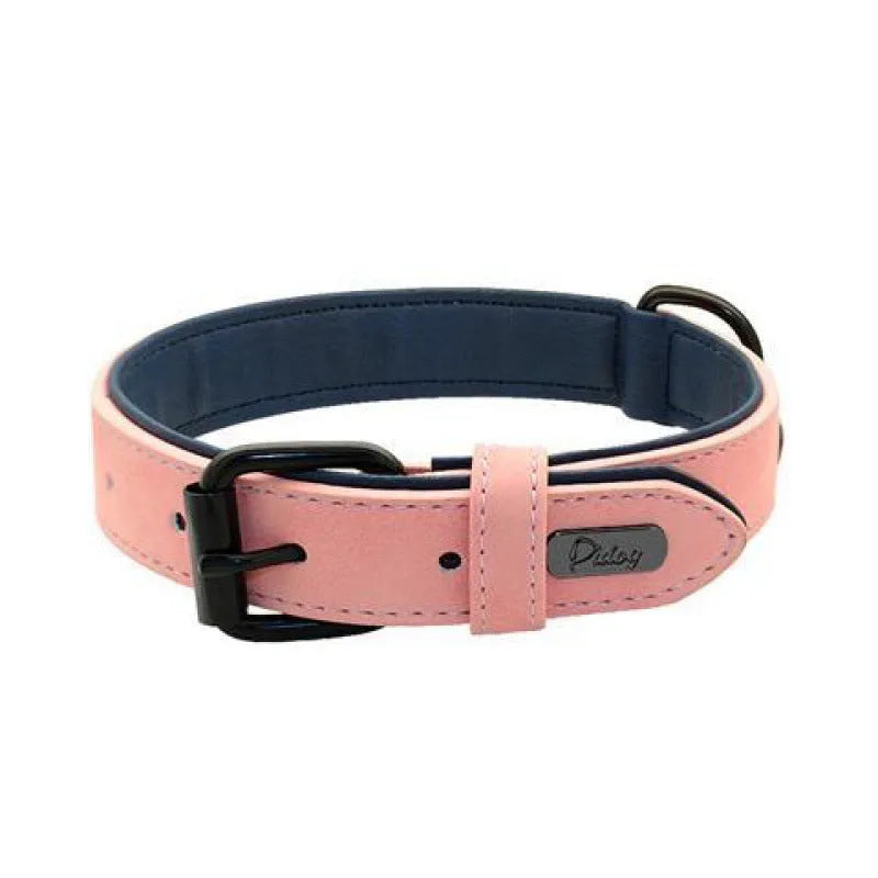 Adjustable dog collar with buckle fastening in purple colour showing double-layer construction