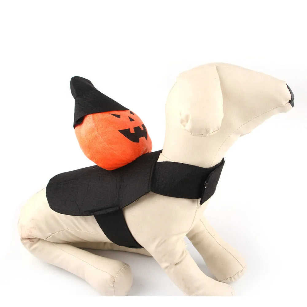 Orange and white Halloween dog costume depicting a pumpkin ghost on a small dog.