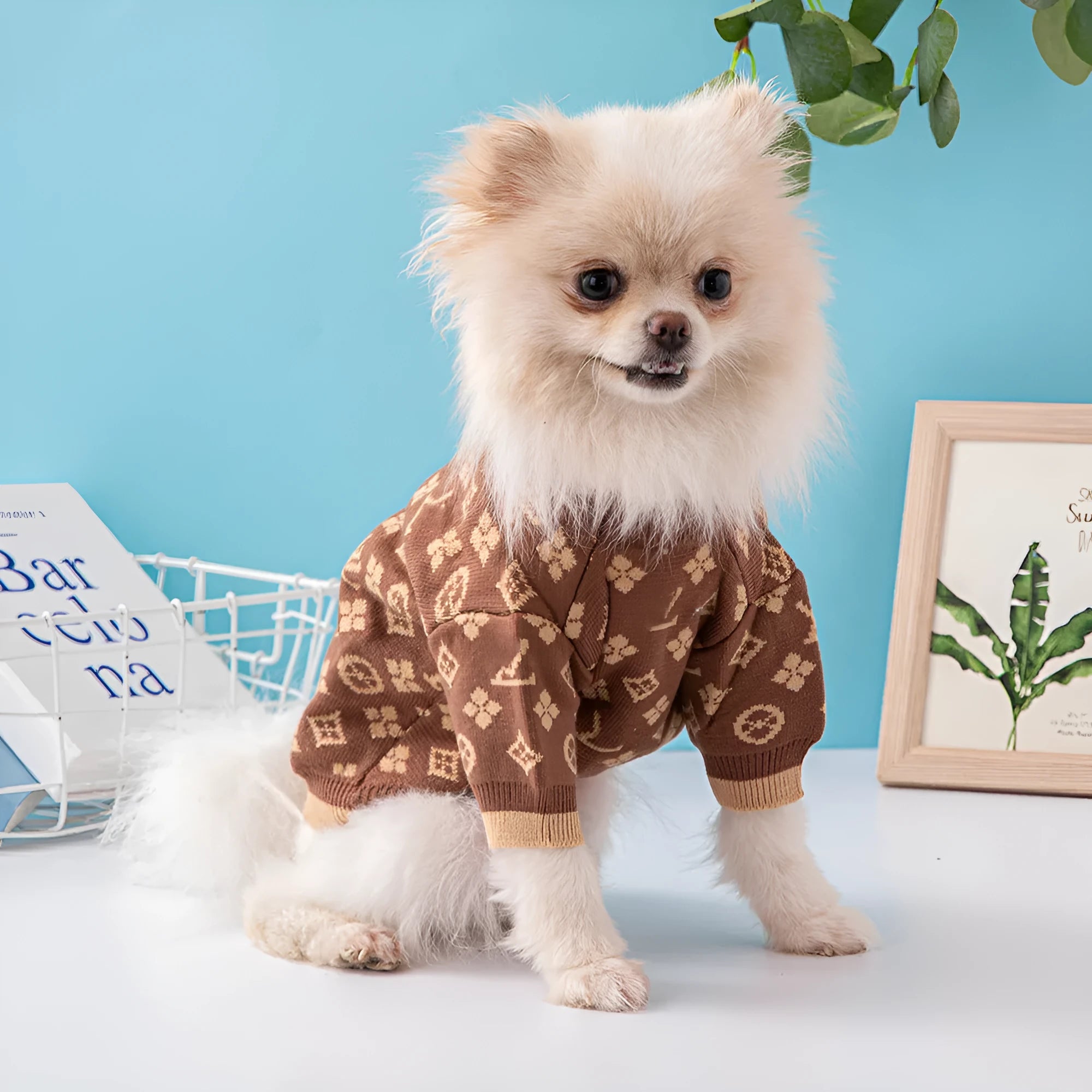 Thick wool dog sweater for winter in monochrome and two-tone colours, sizes XS to XXL.