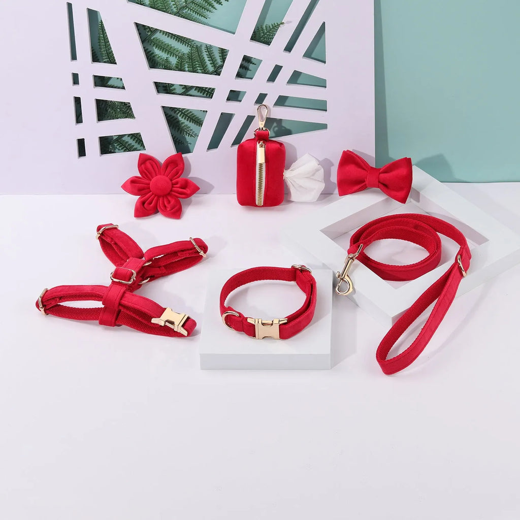 Classic velvet soft dog collar and leash harness set with bow tie, flower, and toilet bag accessories in multiple colours.