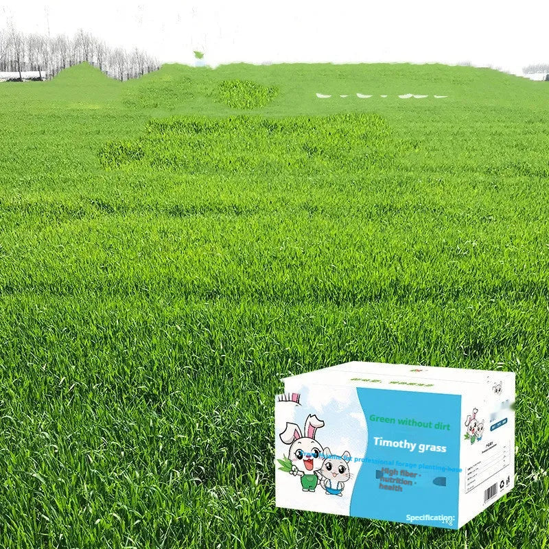 Dried Timothy grass 1kg gross 680g net pack for rabbits chinchillas and guinea pigs