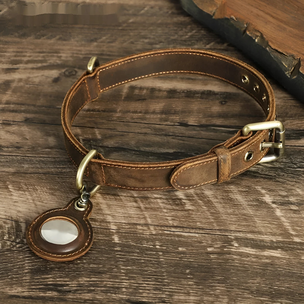 Brown genuine leather retro dog collar with a handmade halter for positioning.