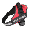 Black personalised no pull dog harness with reflective straps and adjustable chest buckle