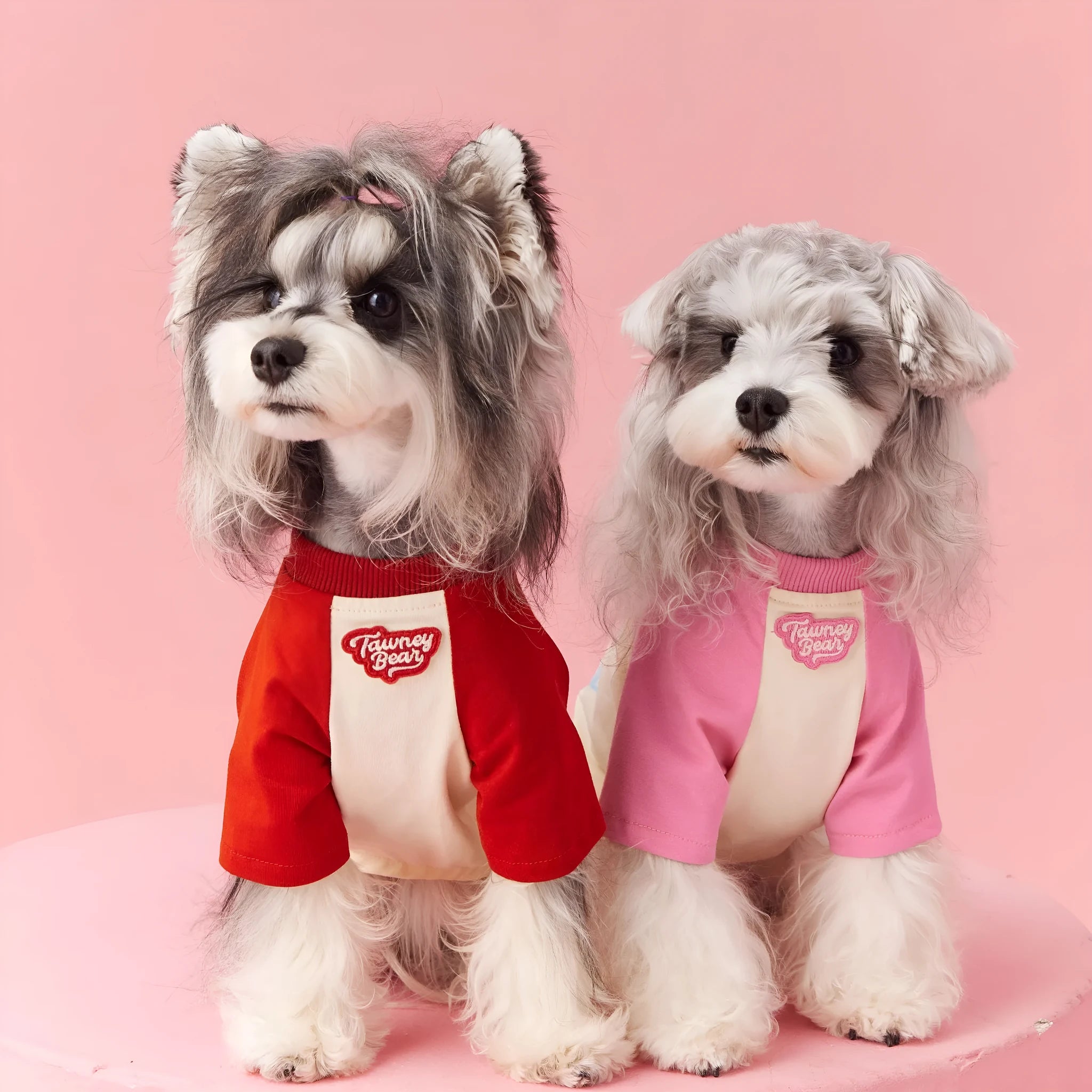 Cotton dog summer clothes with contrast embroidery in red or pink, available in sizes XS to XXL