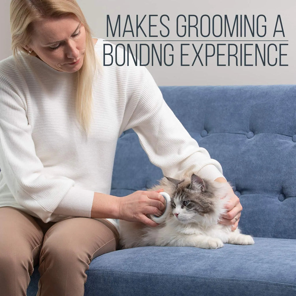 Blue pet deshedding comb with soft teeth and ergonomic plastic handle for cats and dogs.