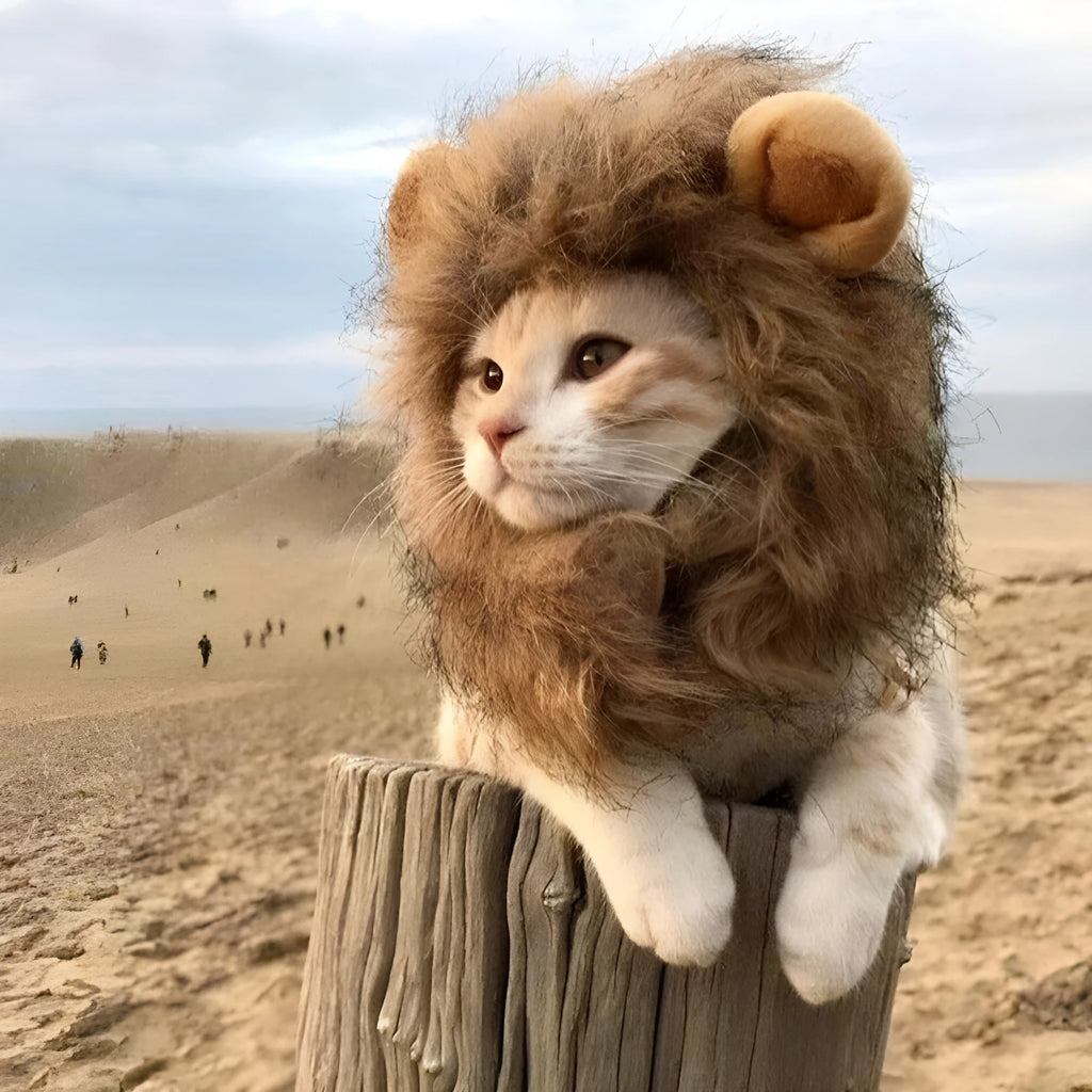 Lion mane wig costume accessory for cats and small dogs with artificial hair and adjustable elastic band