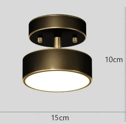 Creative round pure copper ceiling lamp in modern simplicity style, available in 15-30cm sizes with black or copper finish