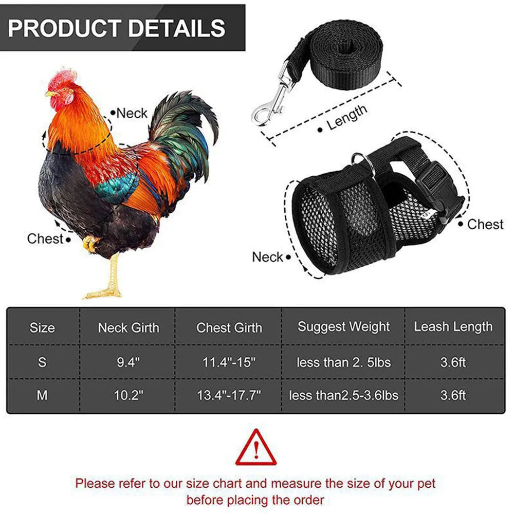 Poultry vest harness on a chicken with an attached lead, shown in red, with size chart visible.