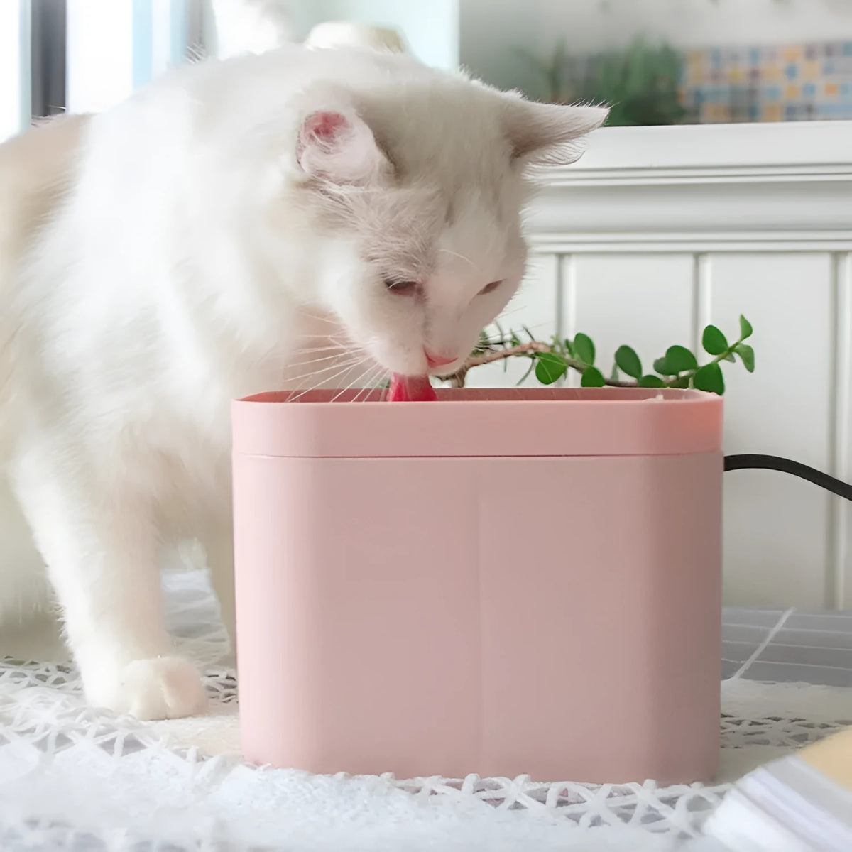Pet cat smart drinking water fountain 1.5L compact size for cats and small dogs