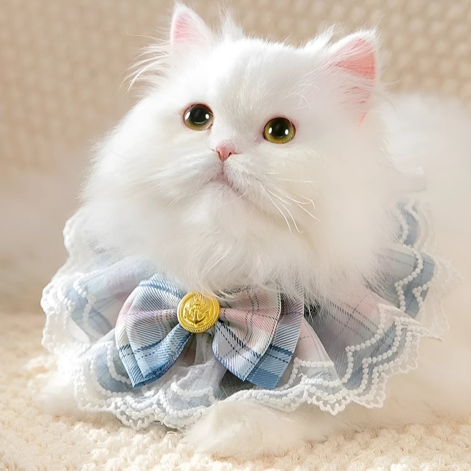 Plaid polyester pet bib with big bow and lace edge in pink, blue, green, red – adjustable collar sizes XS-XL
