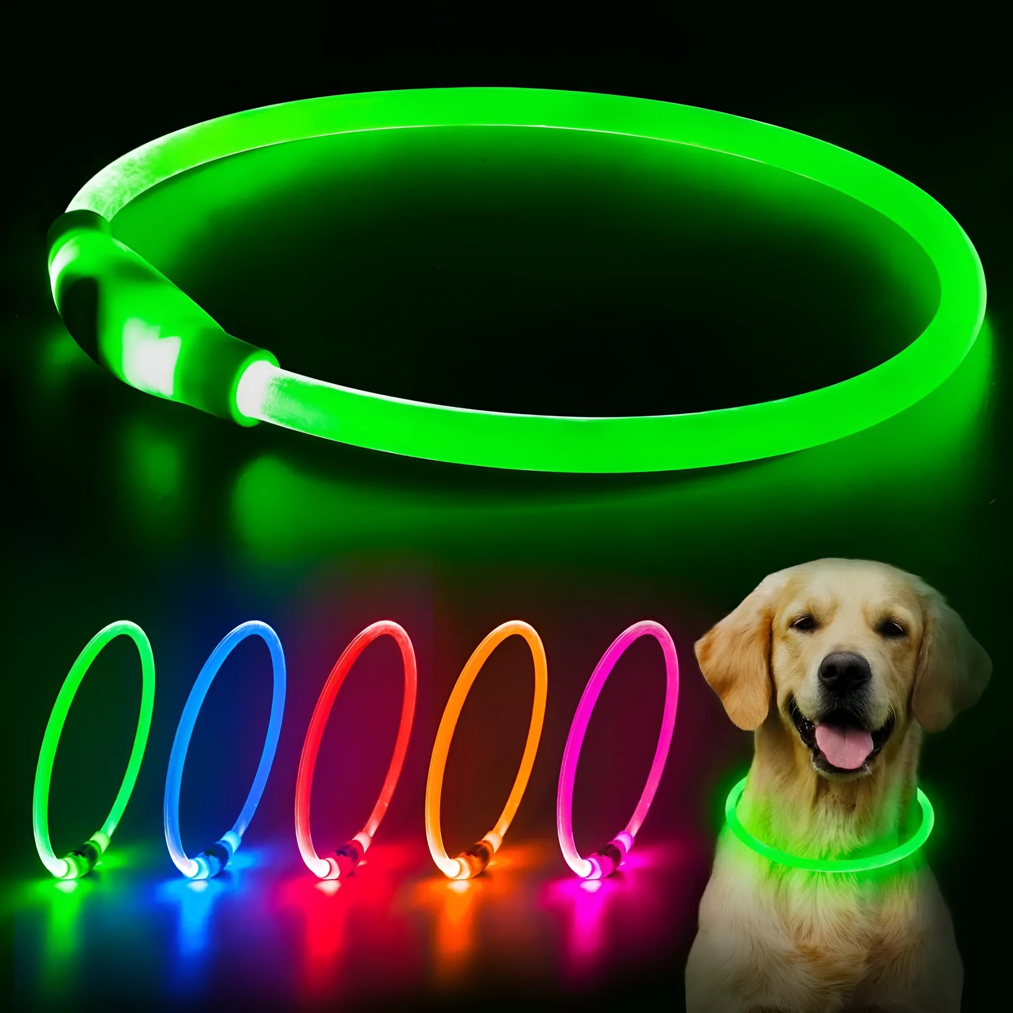 Blue USB-rechargeable LED dog collar glowing on a dog's neck at night.