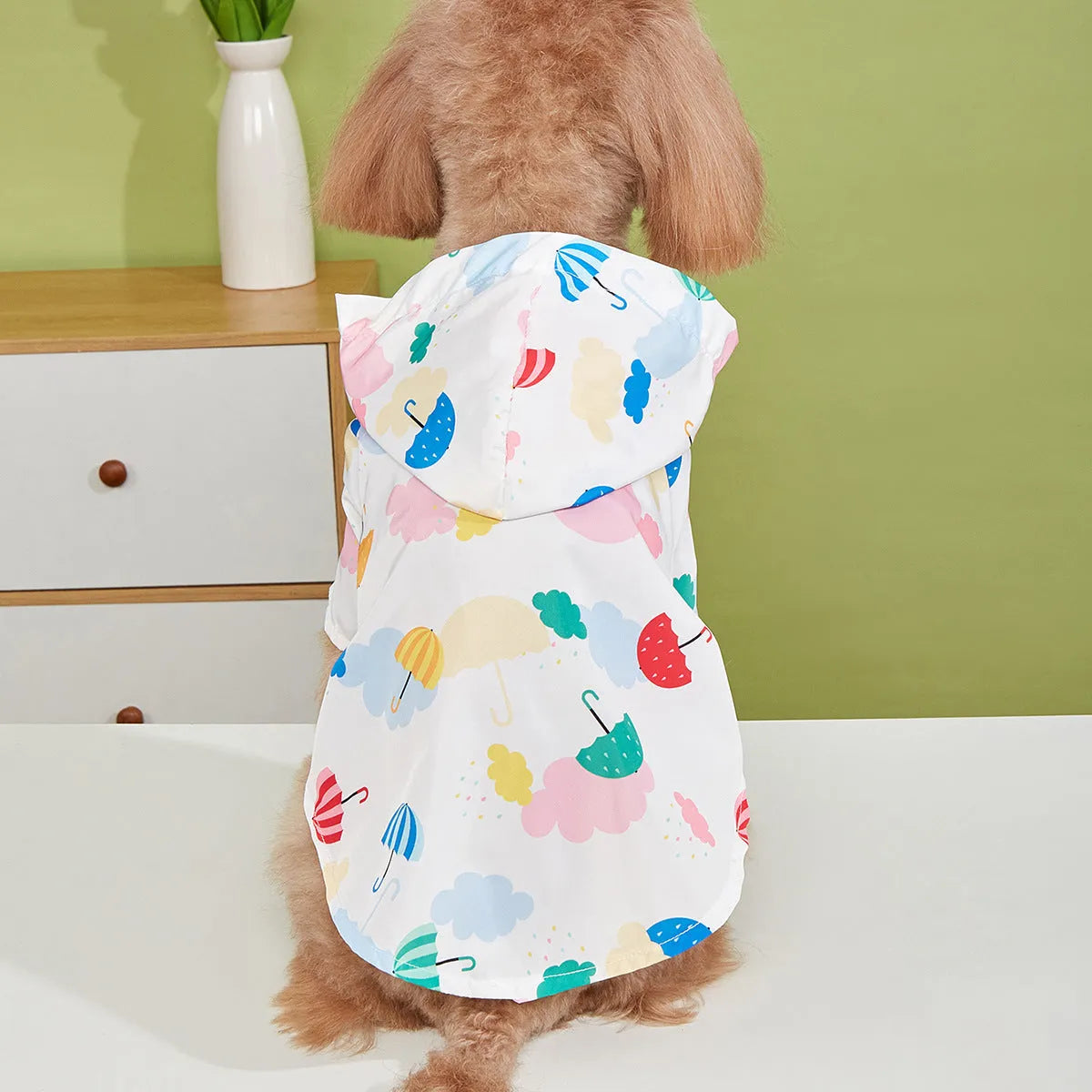 Colourful cartoon umbrella pattern pet raincoat for a small dog, shown in size L.