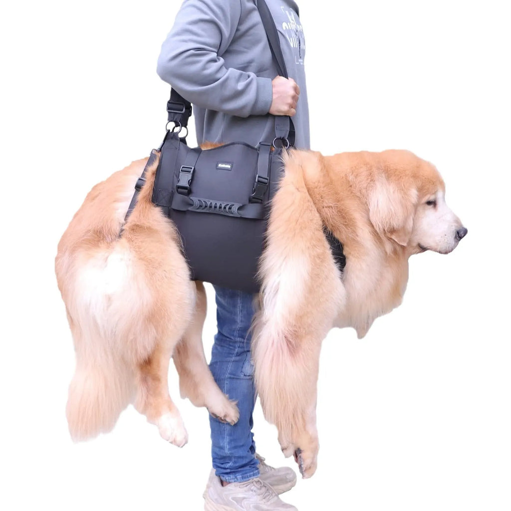 Black Oxford cloth dog harness shown on a dog, highlighting the chest strap and sizing options.