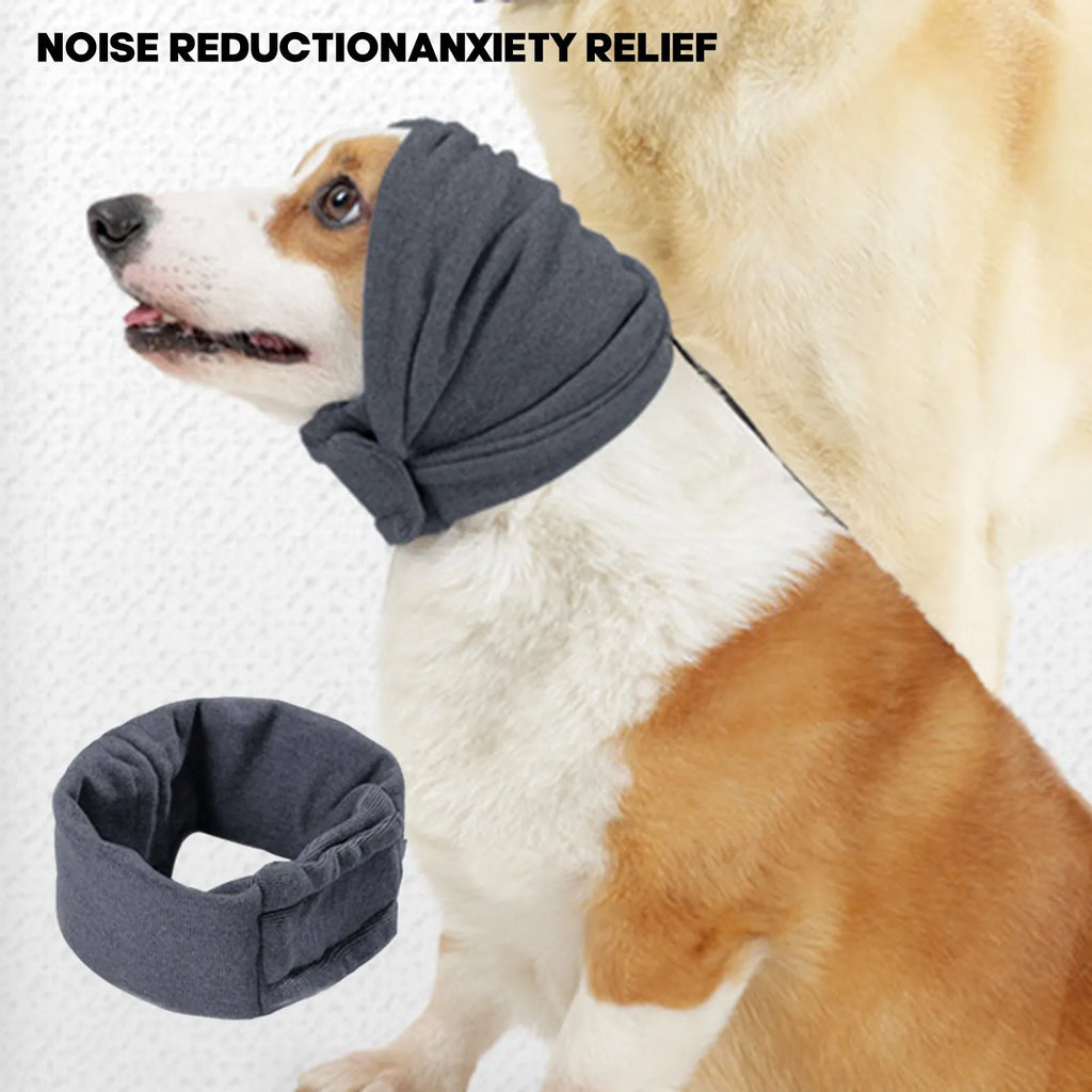 Black dog hoodie with ear covers on canine model showing closure system