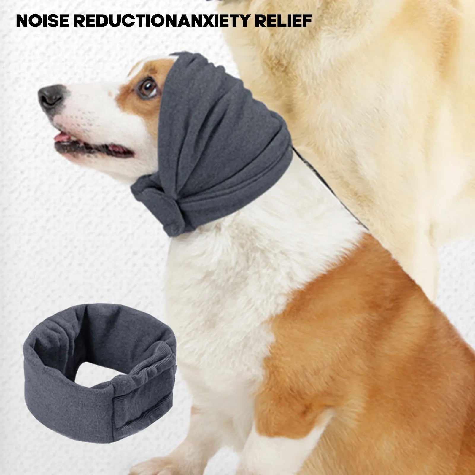 Black dog hoodie with ear covers on canine model showing closure system