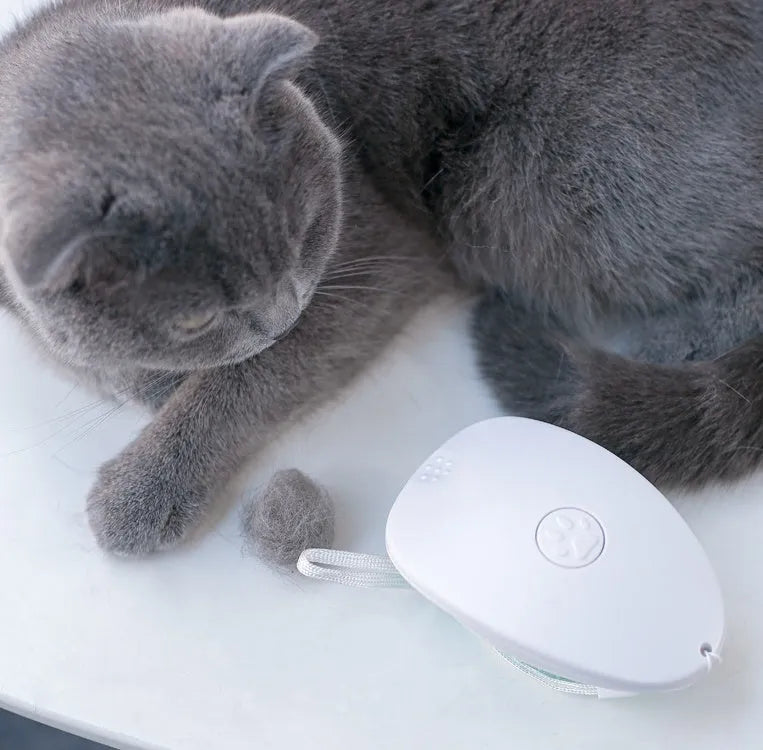 White pet hair brush for cats and dogs made of ABS plastic with compact dimensions 7.2 x 10.6 x 4.2 cm