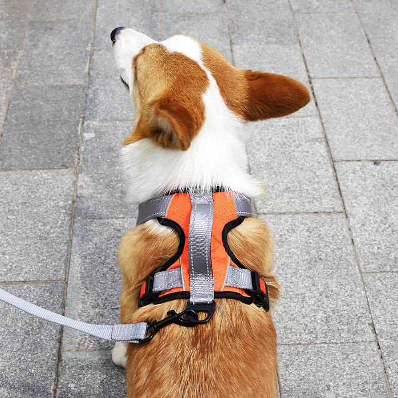 Adjustable polyester dog harness in multiple colours with chest strap and optional hand-holding rope