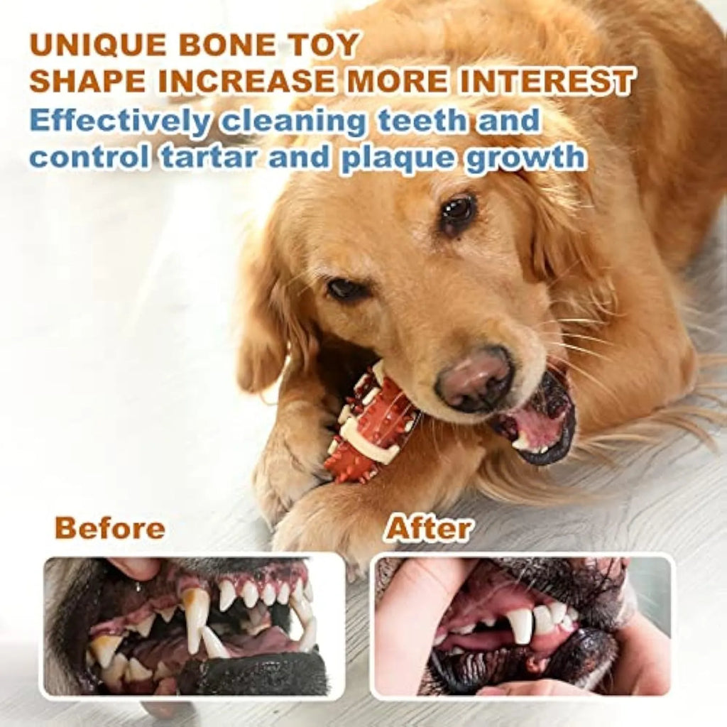 Bone-shaped natural rubber dog molar chew toy for teeth grinding, shown in large and small sizes.