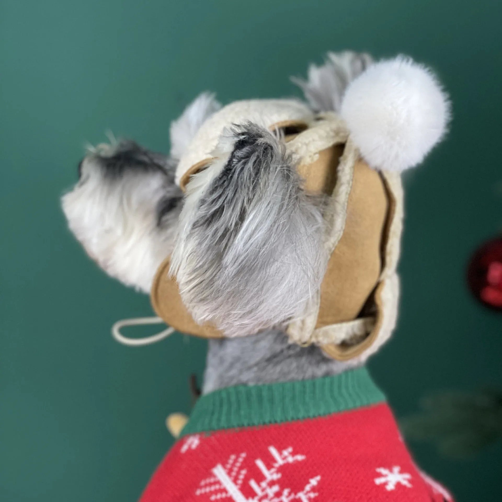 Brown turn ear cap dog hat for Schnauzer and Teddy small dogs two sizes available